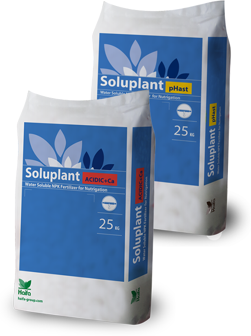 Soluplant pHast e Soluplant Acidic